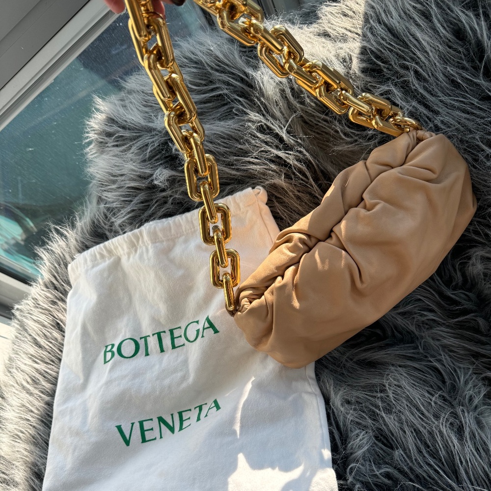 Bottega veneta the pouch